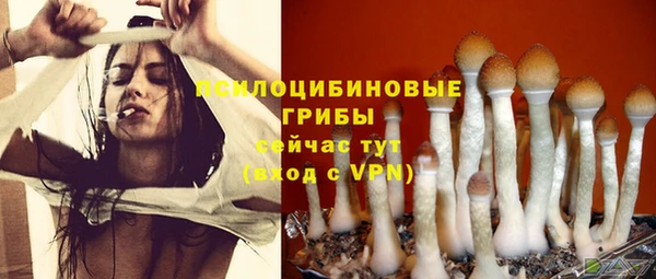 синтетический гашиш Бронницы