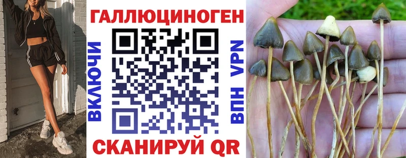 Галлюциногенные грибы Cubensis  Купить  Козельск 